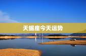 天蝎座今天运势，天蝎座的！今天运气怎么样