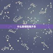 什么属相和兔不合，属兔适合找属什么生肖