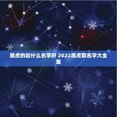 属虎的起什么名字好 2022属虎取名字大全集