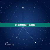 97年牛男配什么属相，1997年属牛的男生找什么属相的女生结婚会幸福？