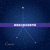 属相是立春还是春节算，属相是从立春开始还是春节开始