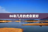 86年几月的虎命更好，为什么86年苦命虎