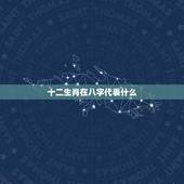 十二生肖在八字代表什么，十二生肖各代表什么时辰