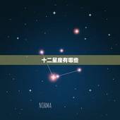 十二星座有哪些，十二星座有哪些？