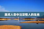 属虎人命中注定情人的生肖，看情人的动物，是什么生肖？