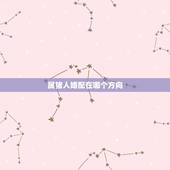 属猪人婚配在哪个方向，属猪的与哪些属相婚配最好