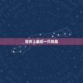 世界上最后一只凤凰，一条真实美人鱼