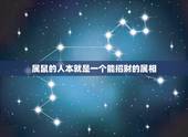 属鼠的人本就是一个能招财的属相，属鼠的与什么属相的人相冲