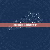 2023年什么属相犯太岁，17年哪个属相犯太岁
