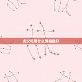 龙父母属什么属相最好，父亲属龙母亲属兔孩子什么属相好