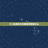 十二生肖的三合属相分别是什么，属相三合什么意思