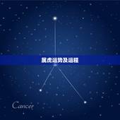 属虎运势及运程，我属虎今年运程272486.8