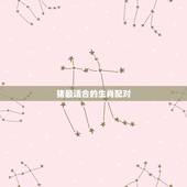 猪最适合的生肖配对，猪年跟什么生肖配对