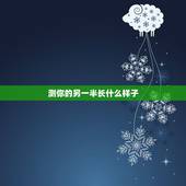 测你的另一半长什么样子，测测你的另一半长相软件有哪些？