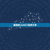 属狗的人2021年多少岁，属狗的今年多少岁2021年
