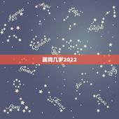 属狗几岁2022，2023年属狗人的全年运势