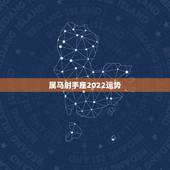 属马射手座2022运势，射手座2022运势星座运程