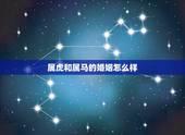 属虎和属马的婚姻怎么样，女属虎和男属马婚姻好吗
