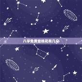 八字免费查桃花有几朵，八字里有两朵红鸾桃花有什么讲究？