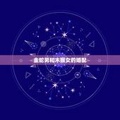 金蛇男和木猴女的婚配，女木命蛇男金命猴在一起好吗