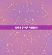 吃鸡单字id罗马音复制，吃鸡单字id罗马音复制挂