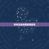 虎年出生的男宝宝起名 属虎名字寓意好的字
