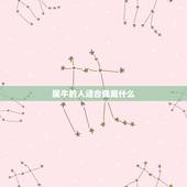 属牛的人适合佩戴什么，属牛的人适合戴沉香吗