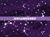 兔和什么婚配属相最好，男兔和什么属相最配