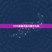 1978年属马五行属什么命，1978年属马的人什么命