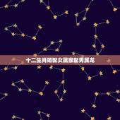 十二生肖婚配女属猴配男属龙，属龙的和属猴的在一起好吗