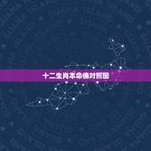 十二生肖本命佛对照图，十二生肖守护神图片