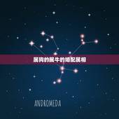 属狗的属牛的婚配属相，属狗的和属牛的人能合得来么？