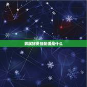 男属猪更佳配偶是什么，1971属猪更佳配偶