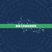 属兔几月份的是苦命，属狗几月份的是苦命