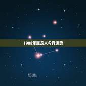 1988年属龙人今月运势，1988年属龙人的运势、婚姻如何