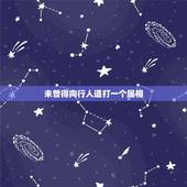 未曾得向行人道打一个属相，未曾得向行人道是那个生肖