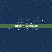 鸡和羊在一起对谁不利 羊和鸡的属相合不合