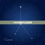 1985年属什么生肖年，1985年的生肖属什么