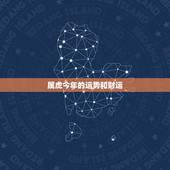 属虎今年的运势和财运 86属虎未来5年运势走向