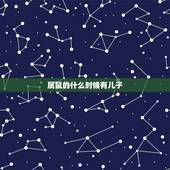 属鼠的什么时候有儿子，我老公属鼠我儿子属鼠我孙子有属鼠好吗？