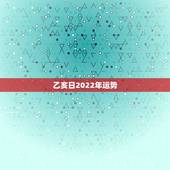 乙亥日2022年运势