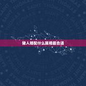 猪人婚配什么属相最合适，属猪女和哪个生肖结婚会旺夫