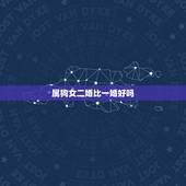 属狗女二婚比一婚好吗，头婚女嫁二婚男好不好