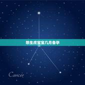想生虎宝宝几月备孕，生儿子排卵前还是排卵后