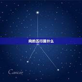 向的五行属什么，若字五行中属金木水火土哪一
