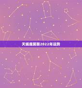 天蝎座属猴2022年运势，2022年属兔天蝎座