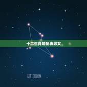 十二生肖婚配表男女，属相婚配