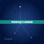 男孩属羊和什么属相般配，属羊的属相婚配表，属羊和什么属相最配