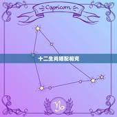 十二生肖婚配相克，婚配中生肖相克，有什么办法化解？
