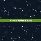 2022虎年男孩取名名字大全，虎年男孩起名字大全